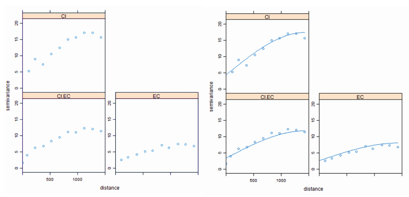 Cokriging Linear model of corregionalization